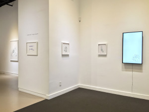 Cook_installation_view_3